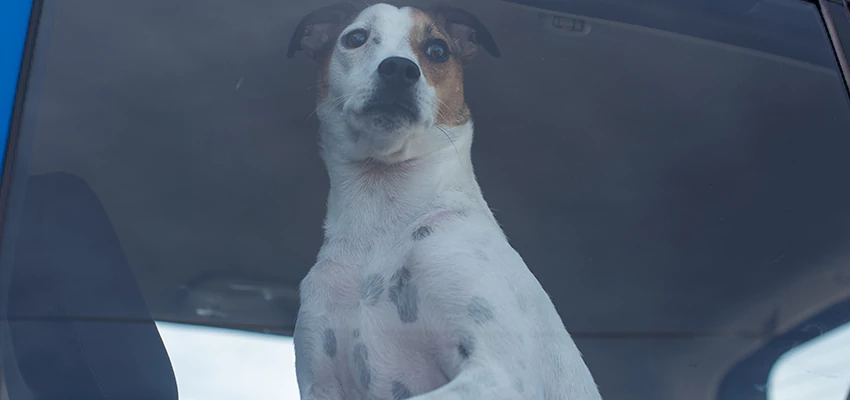 Car Lockout Solutions in Port Hueneme, California